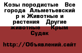 Козы породистые - Все города, Альметьевский р-н Животные и растения » Другие животные   . Крым,Судак